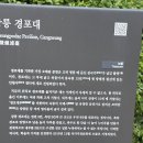 [해파랑길 제39구간] 7개의 멋진 해변걷기가 이어지고,멋진 경포호 둘레길 속 경포대,허균/허난설헌의 생가터 까지 과거여행을 떠나다 이미지