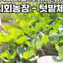 (주)도로시앤컴퍼니 이미지