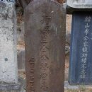 지평리 선정비림 이미지