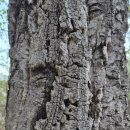 대야산자연휴양림 | 문경으로 떠난 가족여행 [대야산 자연휴양림] 후기