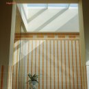 부에나두모 이미지