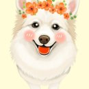 나두맘마 이미지