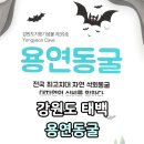 용연동굴 이미지