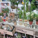 푸른꽃방 이미지