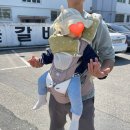 르노삼성자동차서비스코너송천점 | 10개월 아기랑 전주여행 1일차 - 전주동물원, 고궁 본점, 빈타이 송천점, 마왕육전, 길거리야, 전주 모주