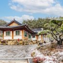 백화쉼터 이미지