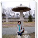 큰바위농장 이미지