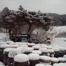 안터사슴농장 이미지