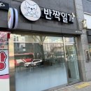 반짝일개 이미지