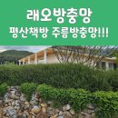 방충망대통령 이미지
