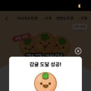 굴림타코야끼 이미지