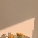 바니핏필라테스 - 전주시 완산구 백제대로 140 | 바니핏필라테스