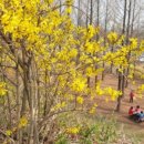 증산-013 이미지