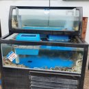 고파도박속낙지 이미지