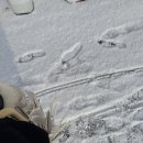 데굴데굴 이미지