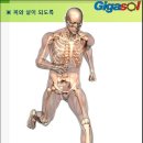기가솔건강방 이미지