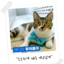 (주)아이엠컴즈 이미지