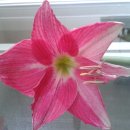 그린레코드 이미지