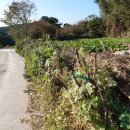 내계마을 이미지