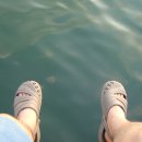 다모아펜션 이미지