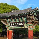반딧불이 | 전남 광주 근교 영암 반딧불이 축제 첫째날 후기(+주차, 준비물)