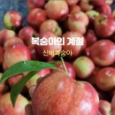 꽃 과일 그릭