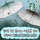 이번에 출시하는 스벅 투명 우산.jpg 이미지