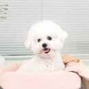 외답6길 이미지