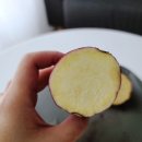 금호1농장 이미지