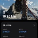 41190-01-07-373 | 한라산 중간통제 되서 사라오름 진달래대피소까지 다녀온 후기 (탐방예약, 등반코스, 날씨팁)