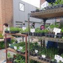 현대농약사 이미지