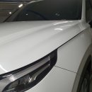 Art Zombie 이미지