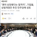 &#34;괜히 상장했다는 말까지&#34;…기업들, 상법개정안 추진 민주당에 성토 이미지