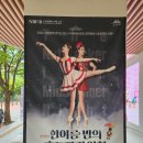 한여름밤의 문화축제 | 노원문화예술회관 2026 노원발레페스티벌 한여름 밤의 호두까기인형 관람 후기