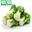 하늘농부유기농영농조합법인 이미지