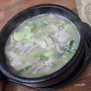 바라보다트립