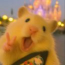 반포대로 110 | 🥐 본크라상 원베일리점 방문 후기 | 쫀득치즈번이랑 초코소금빵… 진짜 미쳤다💥 빵순이들 가자...