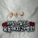 오층다나약국 | 목동예치과병원 사랑니 발치후기 (목동역,신정역 근처 맛집)