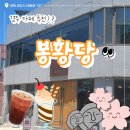 봉황당 - 용산구 청파로 395 | 경주 봉황당 카페 후기 / 황리단길 한옥카페 직접 다녀온 리얼 리뷰