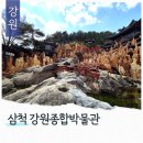 팔각정옆(7번) | 삼척 관광지 강원종합박물관 카페테리아 부모님과 가기 좋은 곳