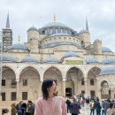 대한 | 터키 항공권 가격 대한항공 직항 탑승 후기