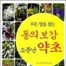 산야초세상