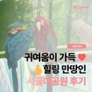 평화대공원 | [그린라이프] 귀여움이 가득♥ 힐링 만땅인 서울대공원 방문후기🫰🦜