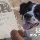 코리농장 이미지