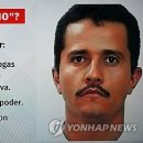 엘통신판매