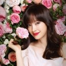 디어 플로라 네이버블로그