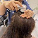 치유살롱 | 별내 두피 스케일링 잘하는 곳, 두피치유살롱 디톡스 케어 후기