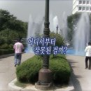 [6月-①] 서울 근교 꽃축제, 부천 백만송이 장미축제 방문 후기