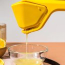 더드림팜 이미지