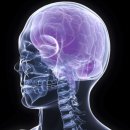 크라우드짐 이미지